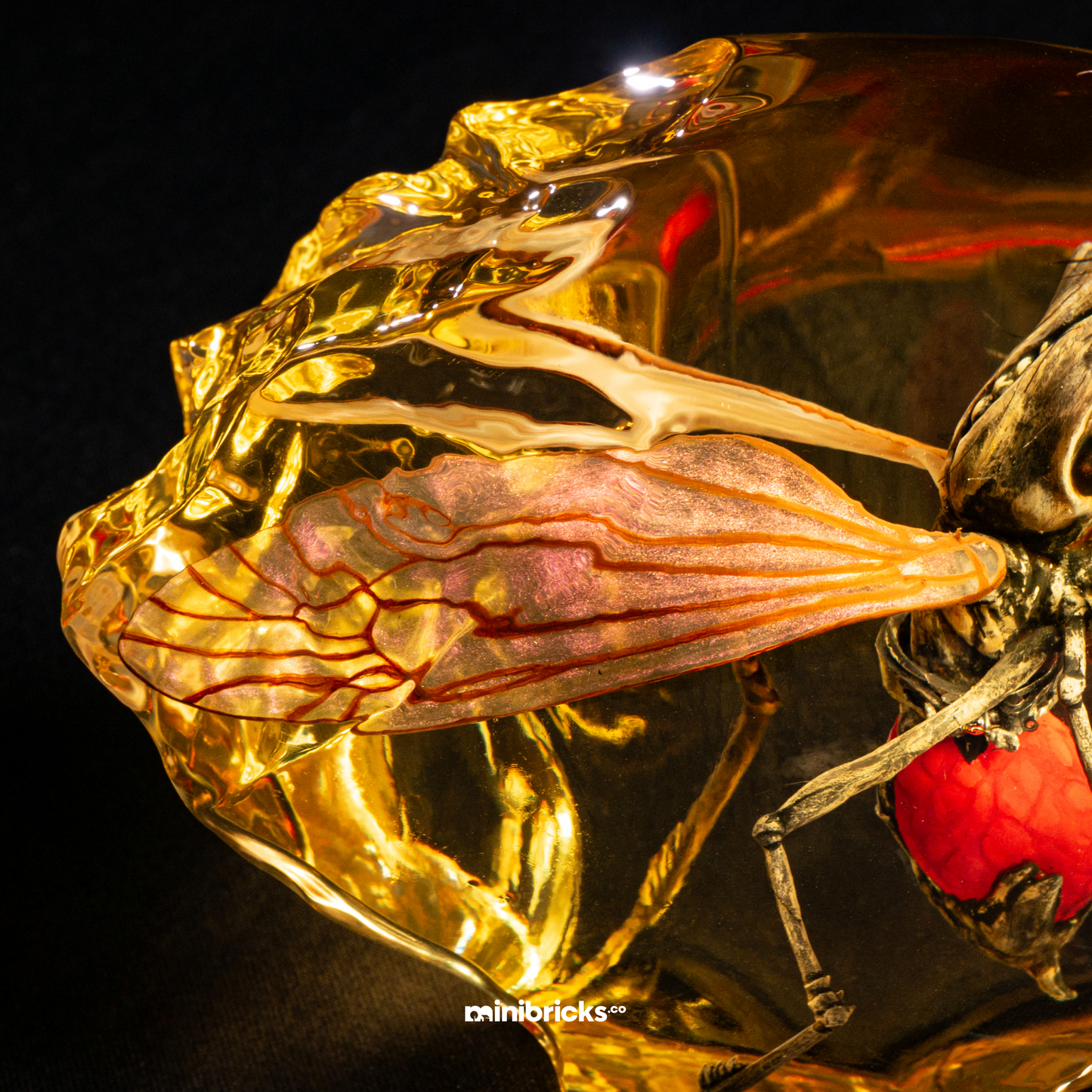 Prehistoric mosquito in amber